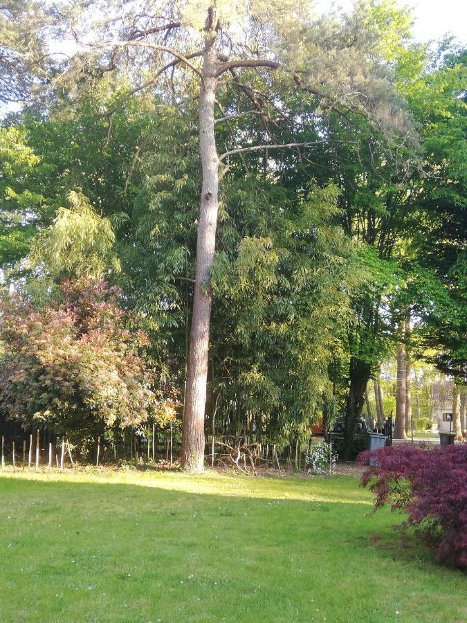 Grande Maison Au Calme Au Coeur D Un Bois 11 Personnes Hébergement de vacances Ferrieres-en-Gatinais